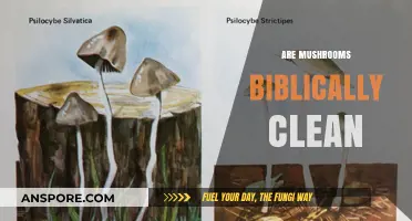 Mushrooms: Biblical Cleanliness and Edibility