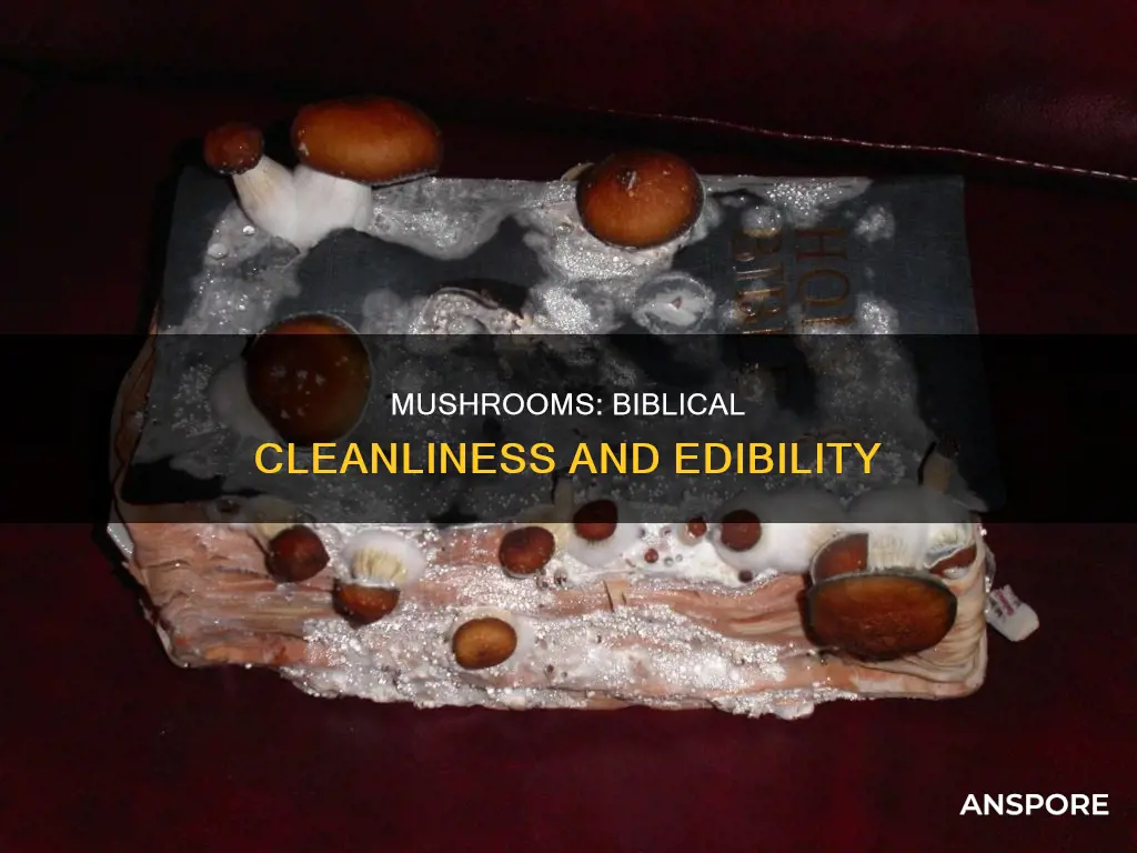 are mushrooms biblically clean