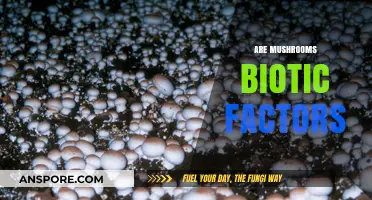 Mushrooms: Living Biotic Factors in the Ecosystem