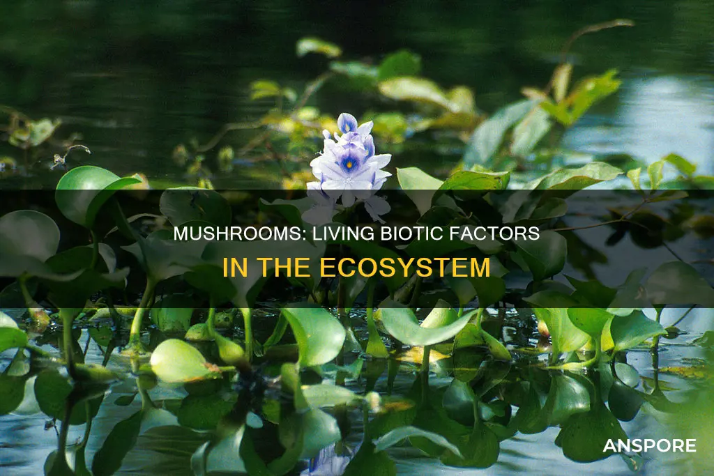 are mushrooms biotic factors