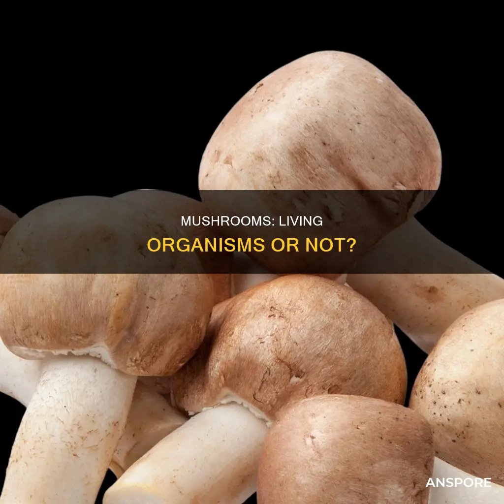 are mushrooms biotic