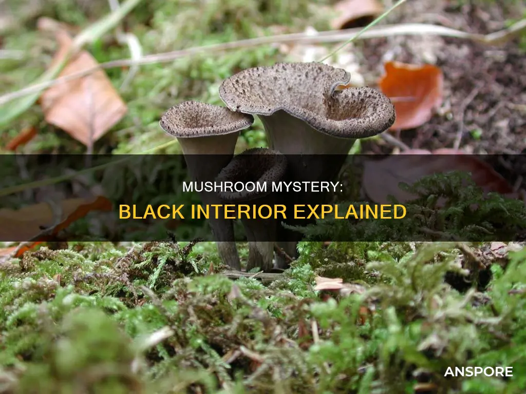 are mushrooms black inside