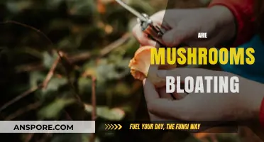 Mushrooms: The Bloating Mystery Solved