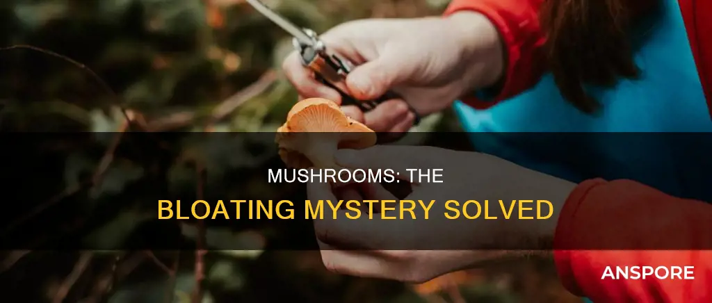 are mushrooms bloating