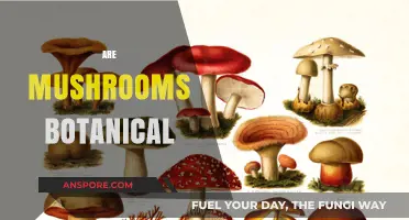 Mushrooms: Botanical or Not?