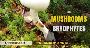 Mushrooms: Why They're Not Bryophytes