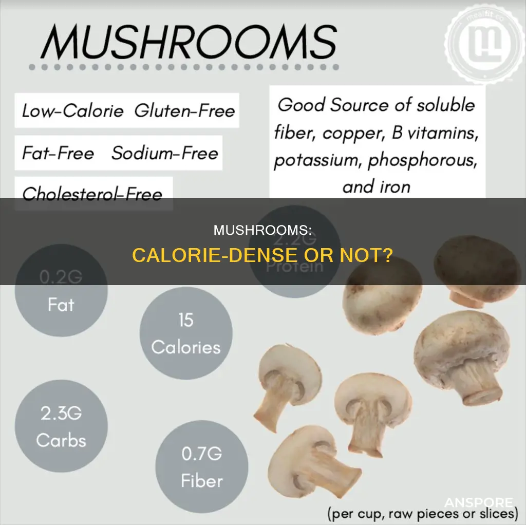 are mushrooms calorie dense