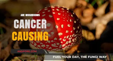 Mushrooms: Cancer Causers or Not?