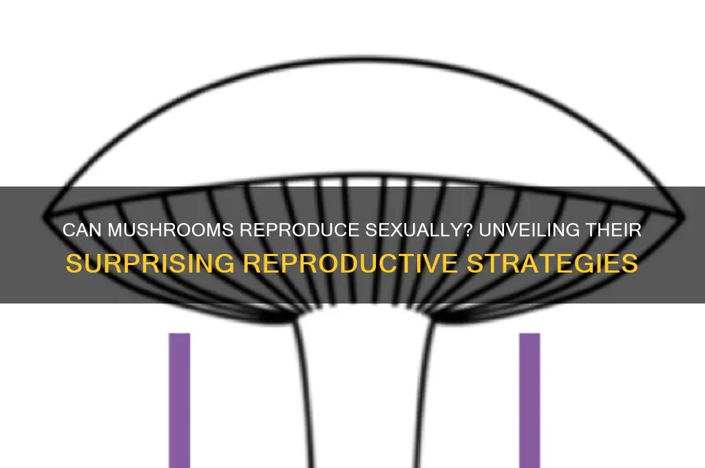 are mushrooms capable of sexual reproduction