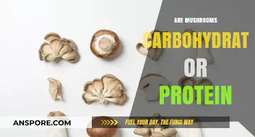 Mushrooms: Carbohydrates or Proteins?
