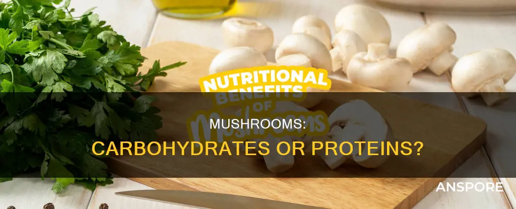 are mushrooms carbohydrates or protein