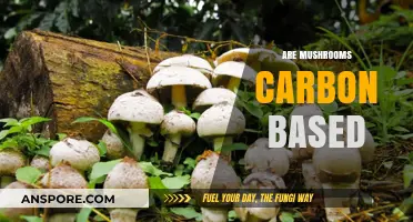 Mushrooms: Carbon-Based Life Forms?