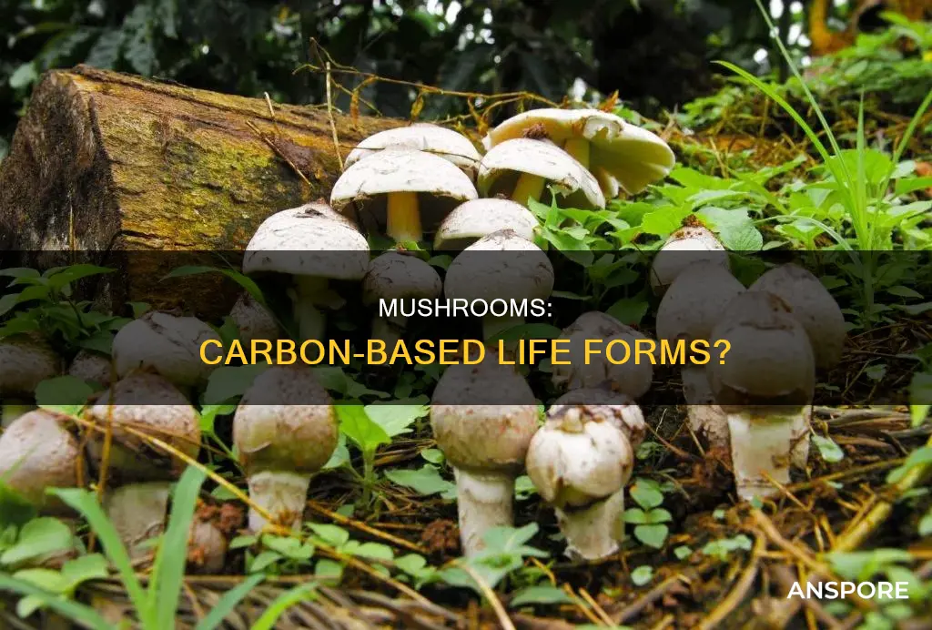 are mushrooms carbon based