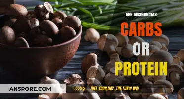 Mushrooms: Carbs, Proteins, and Nutrition Facts