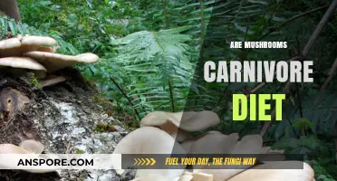 Mushrooms: Carnivore Diet-Friendly Superfood?
