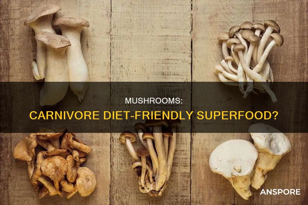 are mushrooms carnivore diet