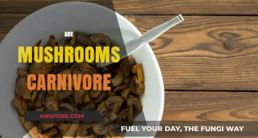 Mushrooms: Carnivorous or Not?
