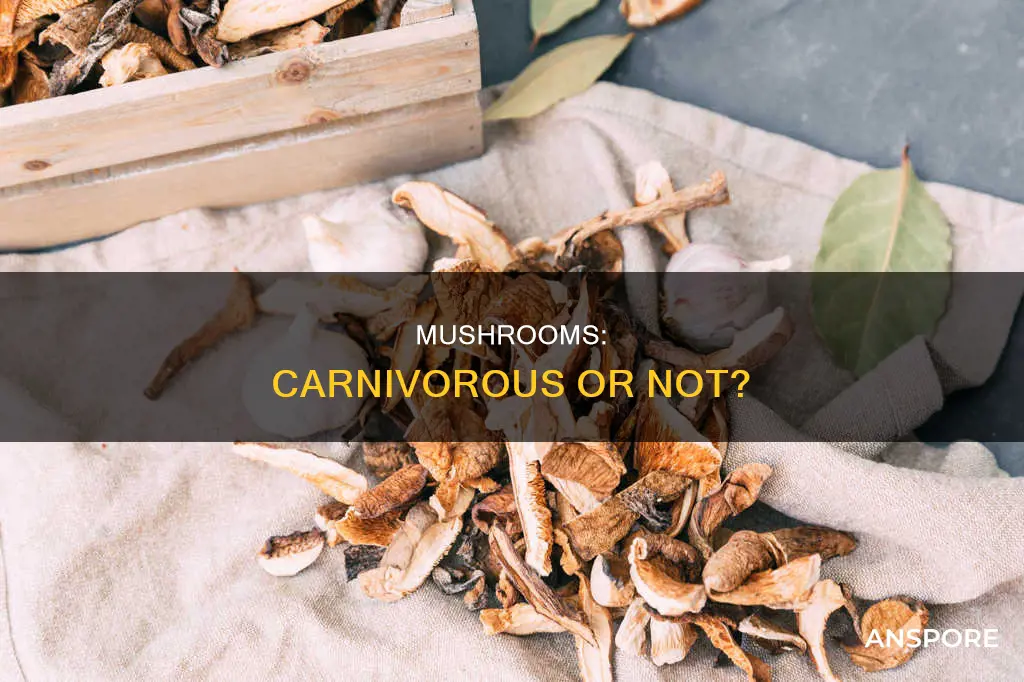 are mushrooms carnivore