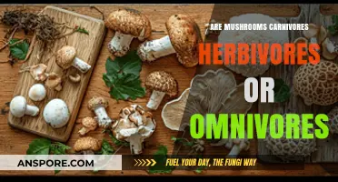 Mushrooms' Dietary Nature: Carnivore, Herbivore, or Omnivore Explained
