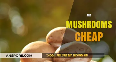 Mushrooms: Are They Affordable Superfood?
