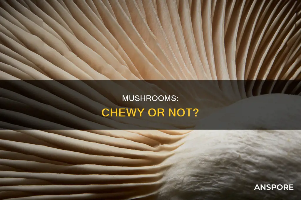 are mushrooms chewy