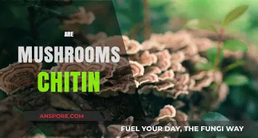 Chitin in Mushrooms: What's the Deal?