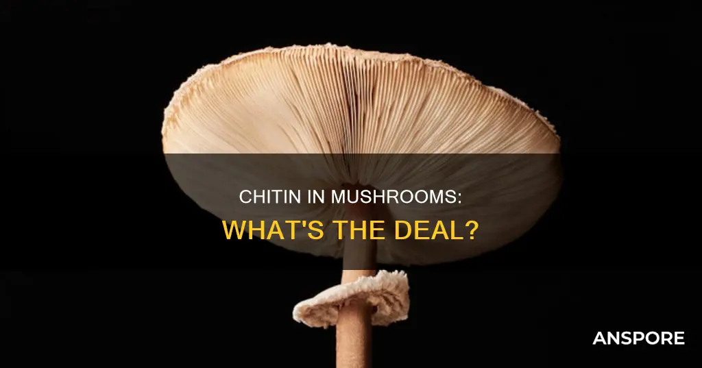 are mushrooms chitin