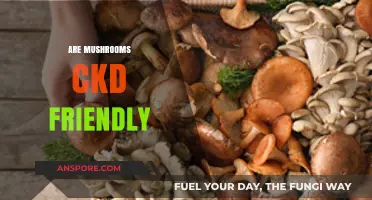 Mushrooms: A CKD-Friendly Superfood?