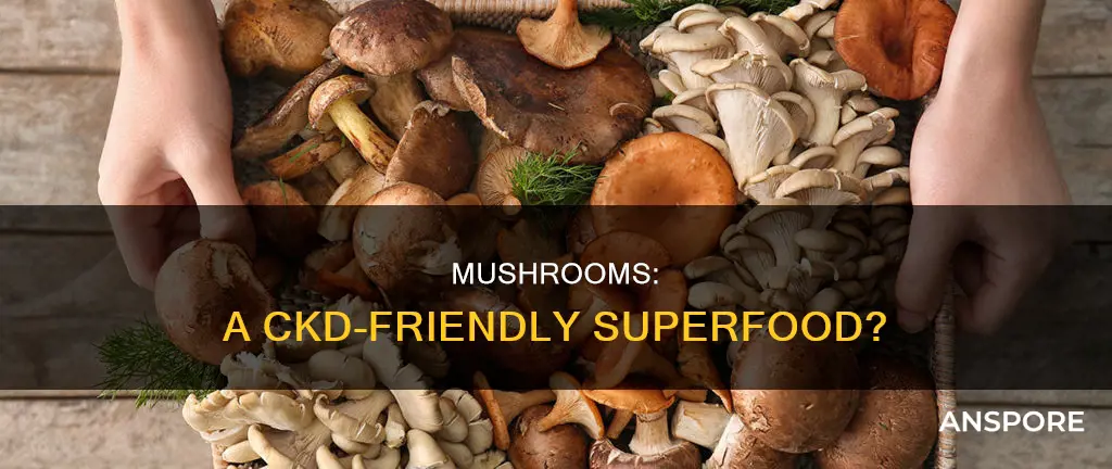 are mushrooms ckd friendly