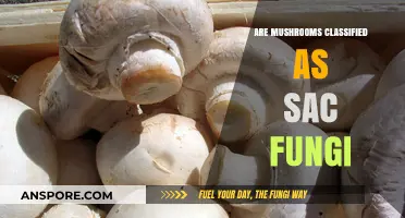 Are Mushrooms Sac Fungi? Unraveling Their Classification Mystery