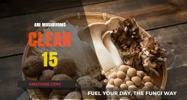 Mushrooms: Clean 15 Superfoods?