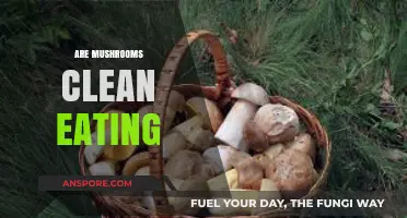 Are Mushrooms Clean Eating? Unveiling Their Nutritional and Health Benefits