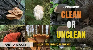 Mushrooms: Clean Food or Unclean?