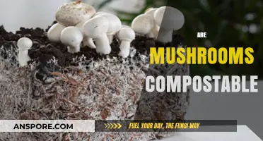 Mushroom Composting: What You Need to Know