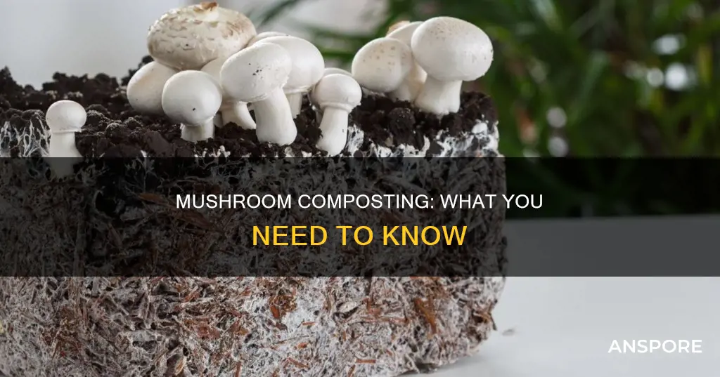 are mushrooms compostable
