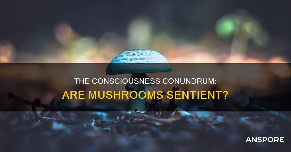 are mushrooms concious