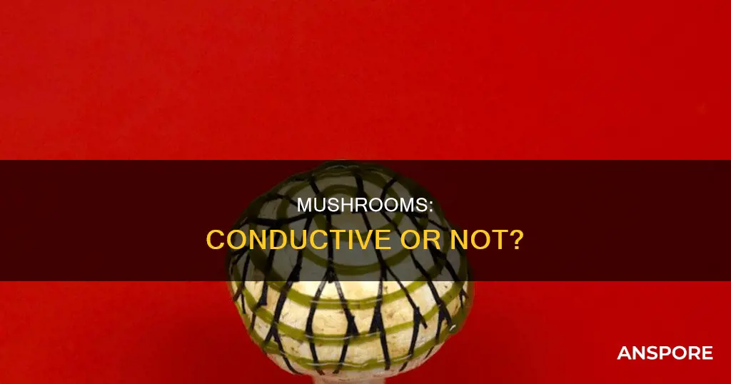 are mushrooms conductive