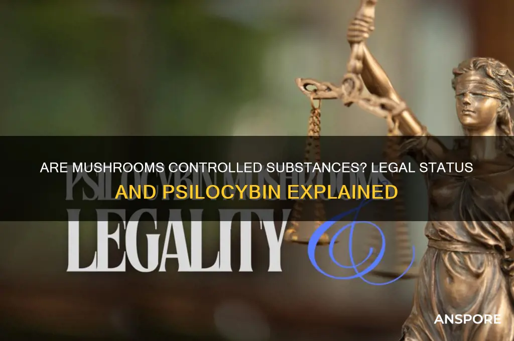 are mushrooms considered a controlled substance