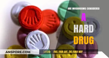 Are Mushrooms a Hard Drug? Debunking Myths and Facts