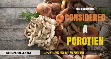 Mushrooms: A Surprising Protein Source?