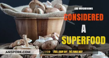 Mushrooms: Superfood Status and Health Benefits