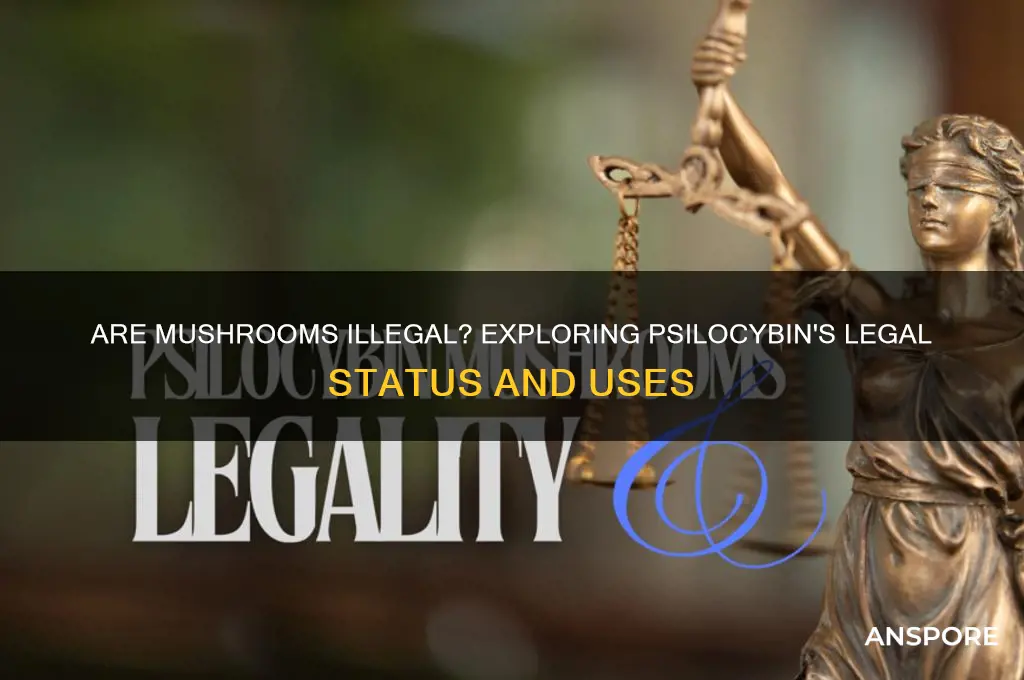 are mushrooms considered an illegal drug