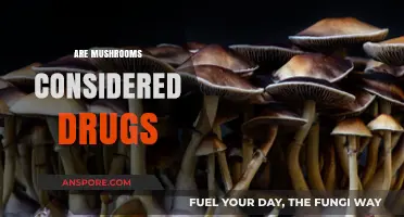 Mushrooms: Hallucinogens or Healthy Superfood?