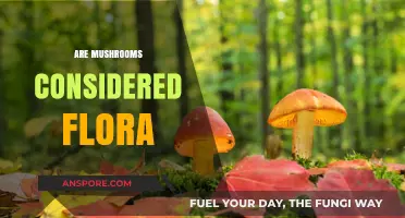 Mushrooms: Flora or Not?