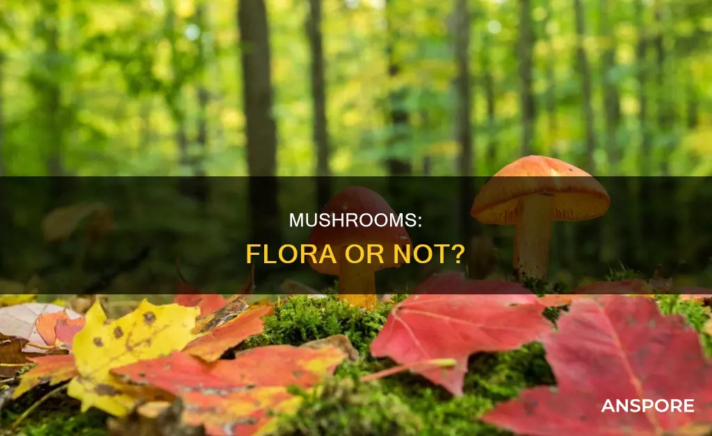 are mushrooms considered flora