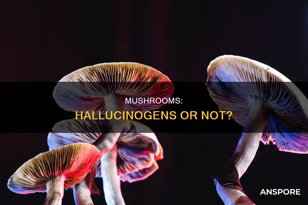 are mushrooms considered hallucinagins
