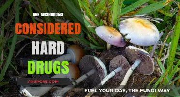 Mushrooms: Hard Drugs or Not?