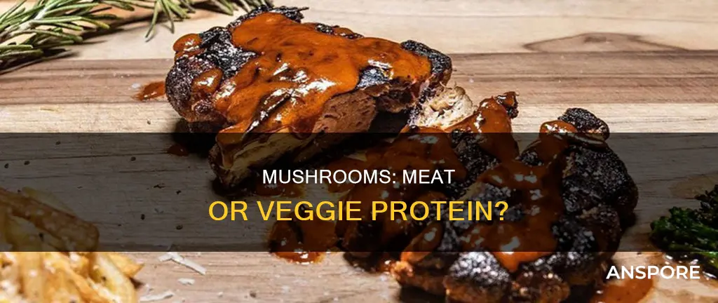 are mushrooms considered meat protien