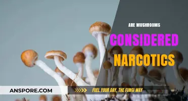 Mushrooms: Hallucinogens or Harmless?