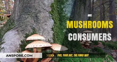 Mushrooms: Nature's Decomposers and Nutrient Consumers